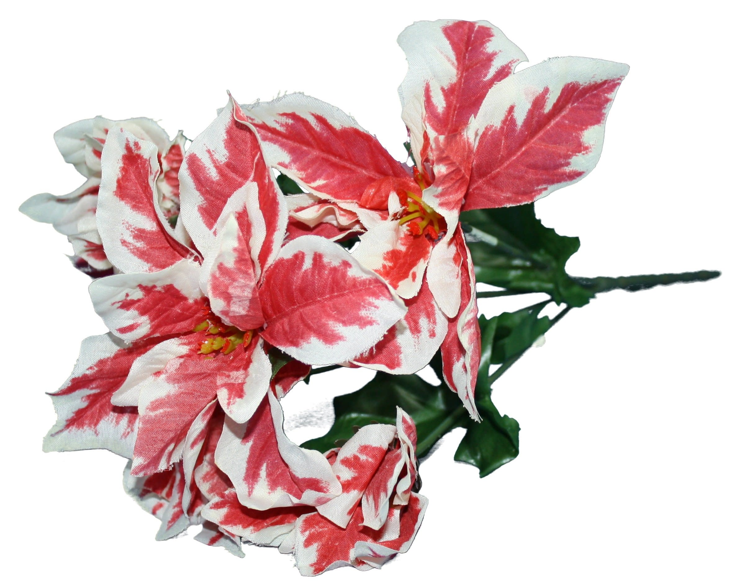 13 inch Variegated Poinsettia Stem Red/White