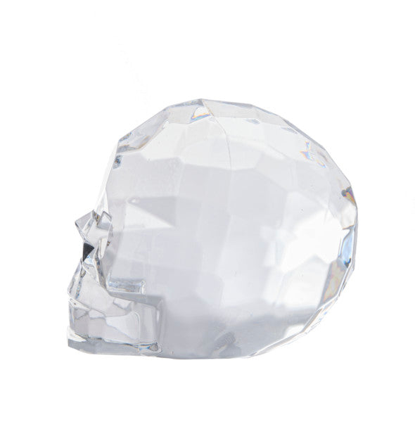 Acrylic Skull - Clear