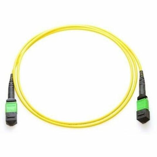 Axiom MPO Female to MPO Female Singlemode 9/125 Fiber Cable 30m - TAA Compliant - 98.43