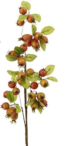 Berries Stem - 31 Inch - Orange