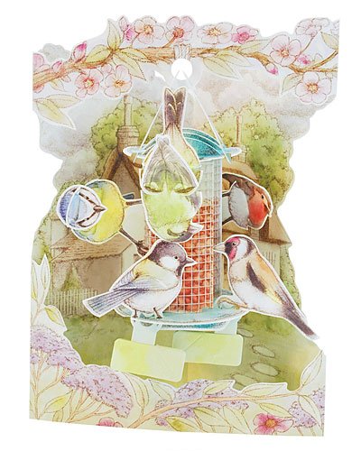 Bird Feeder - Swing Card