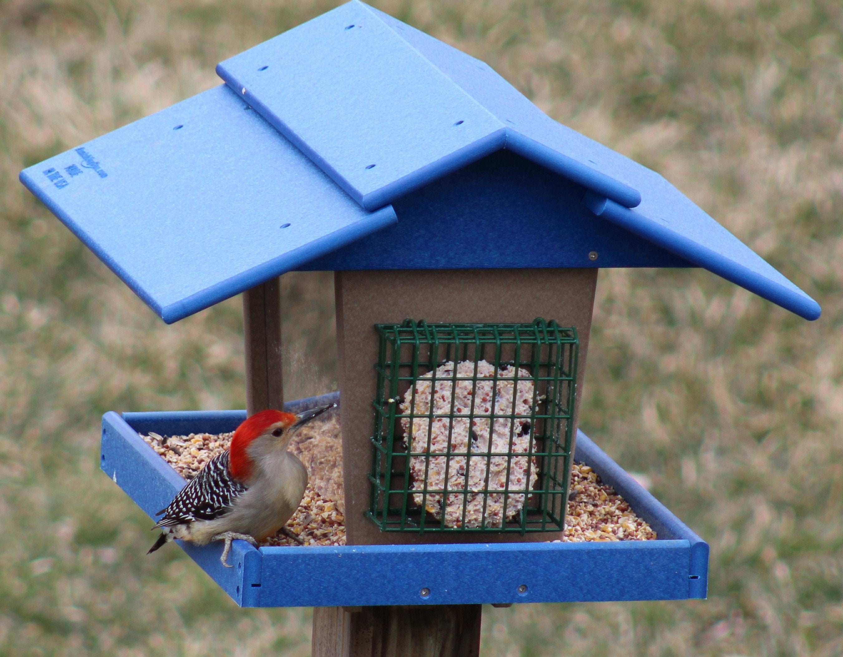 Classic Bird Feeder with Suet Holder and Peanut Feeder, Eco-Friendly Poly Lumber, Post-Mount