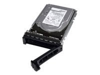 Dell - Hard drive - 1 TB - hot-swap - 3.5 - SAS - 7200 rpm"