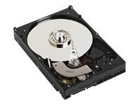 Dell - Hard drive - 2 TB - internal - 3.5 - SATA 3Gb/s - 7200 rpm"