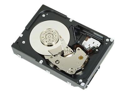 Dell Nearline - Hard drive - 2 TB - internal - 3.5 - SAS - 7200 rpm - for PowerEdge R510 (3.5")