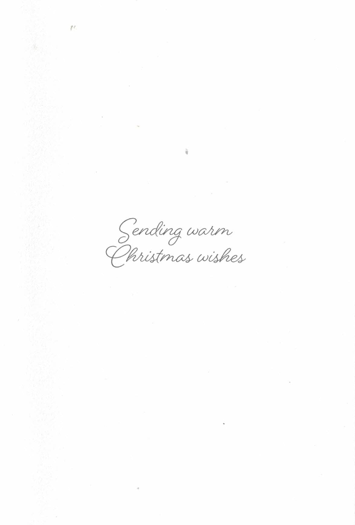 Elegant Boxed Cards - Merry Christmas Wreath