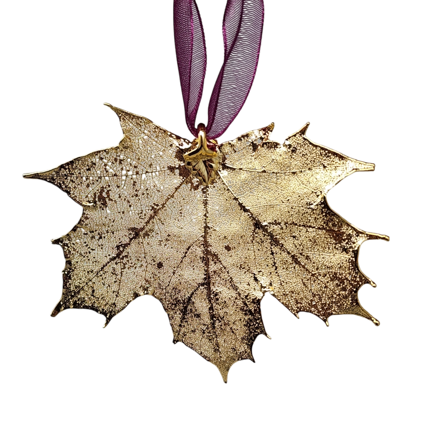 Gold Sugar Maple Leaf with Sheer Ribbon Ornament