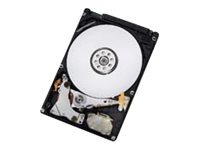 HGST-IMSourcing CinemaStar C5K750 750 GB Hard Drive - 2.5" Internal - SATA (SATA/300)