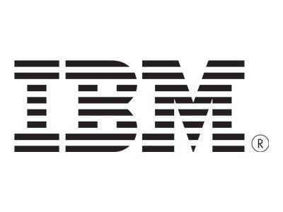 IBM - Hard drive - 300 GB - hot-swap - 2.5 - SAS 6Gb/s - 10000 rpm - for System Storage DS3524 Model C4A