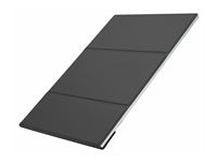 LG gram +view 16MR70.ASDU 16" Class WQXGA LCD Monitor - Silver - 16" Viewable - In-plane