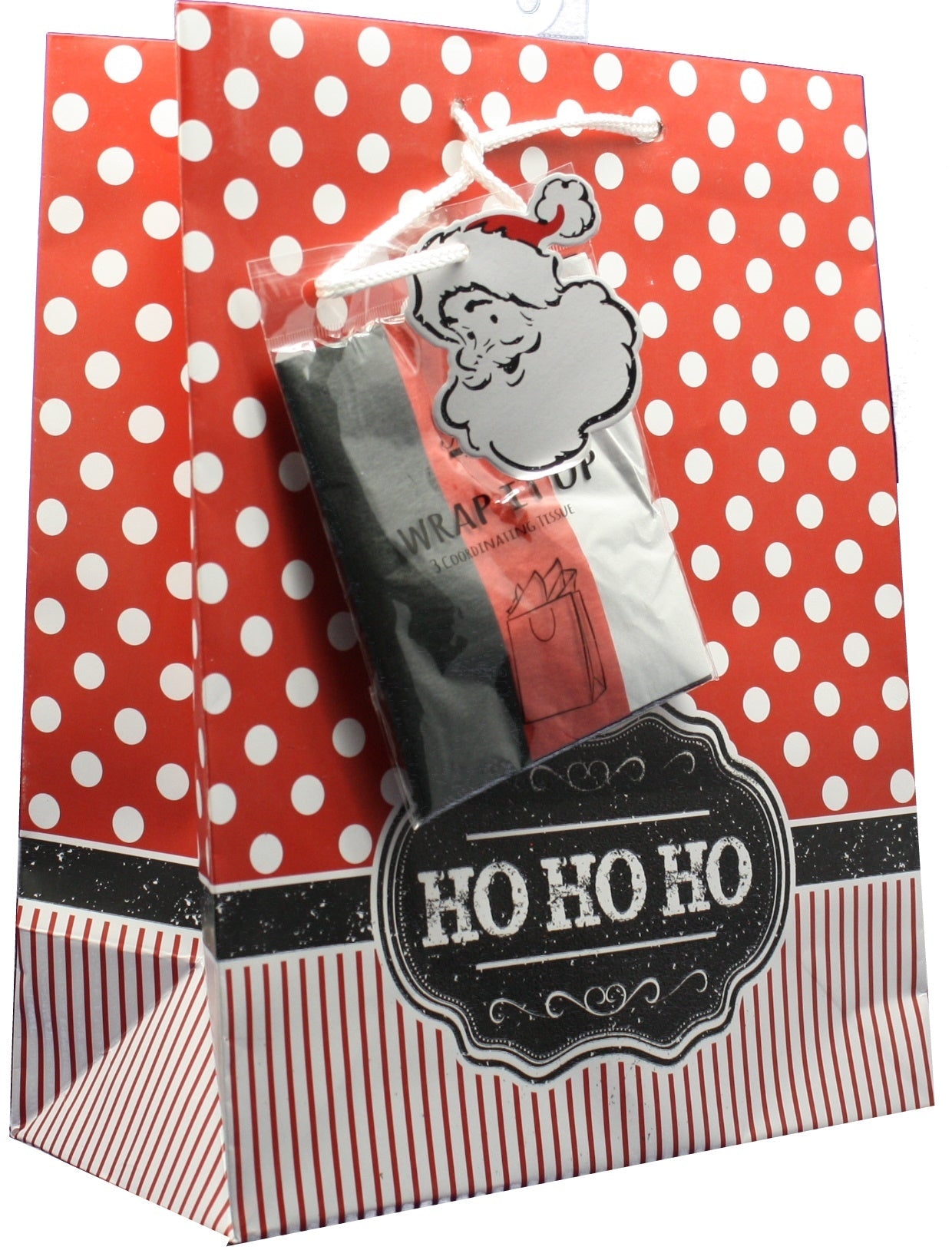 Large Gift Bag With Tissue - North Pole