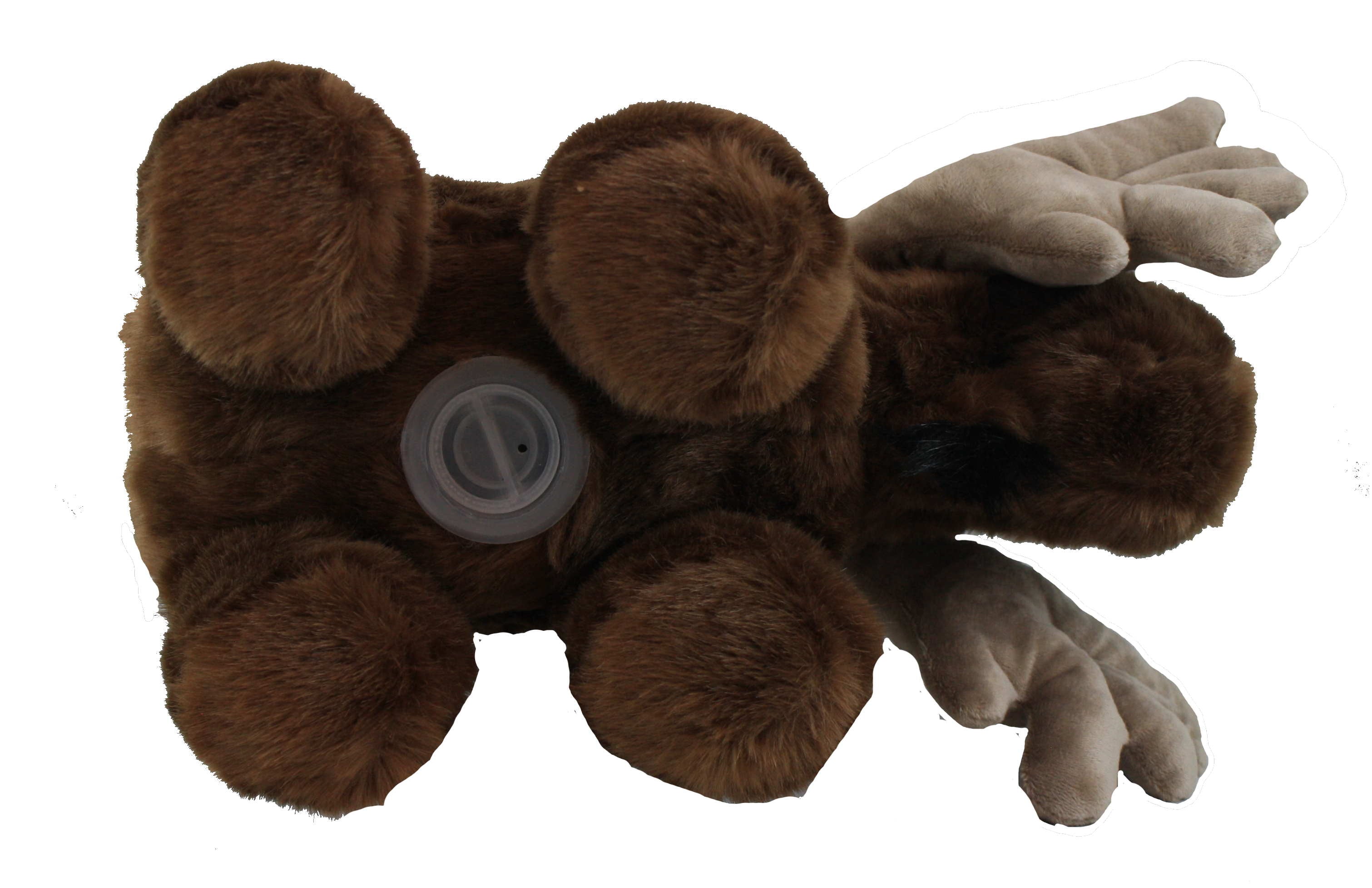 Moose Plush Coin Bank