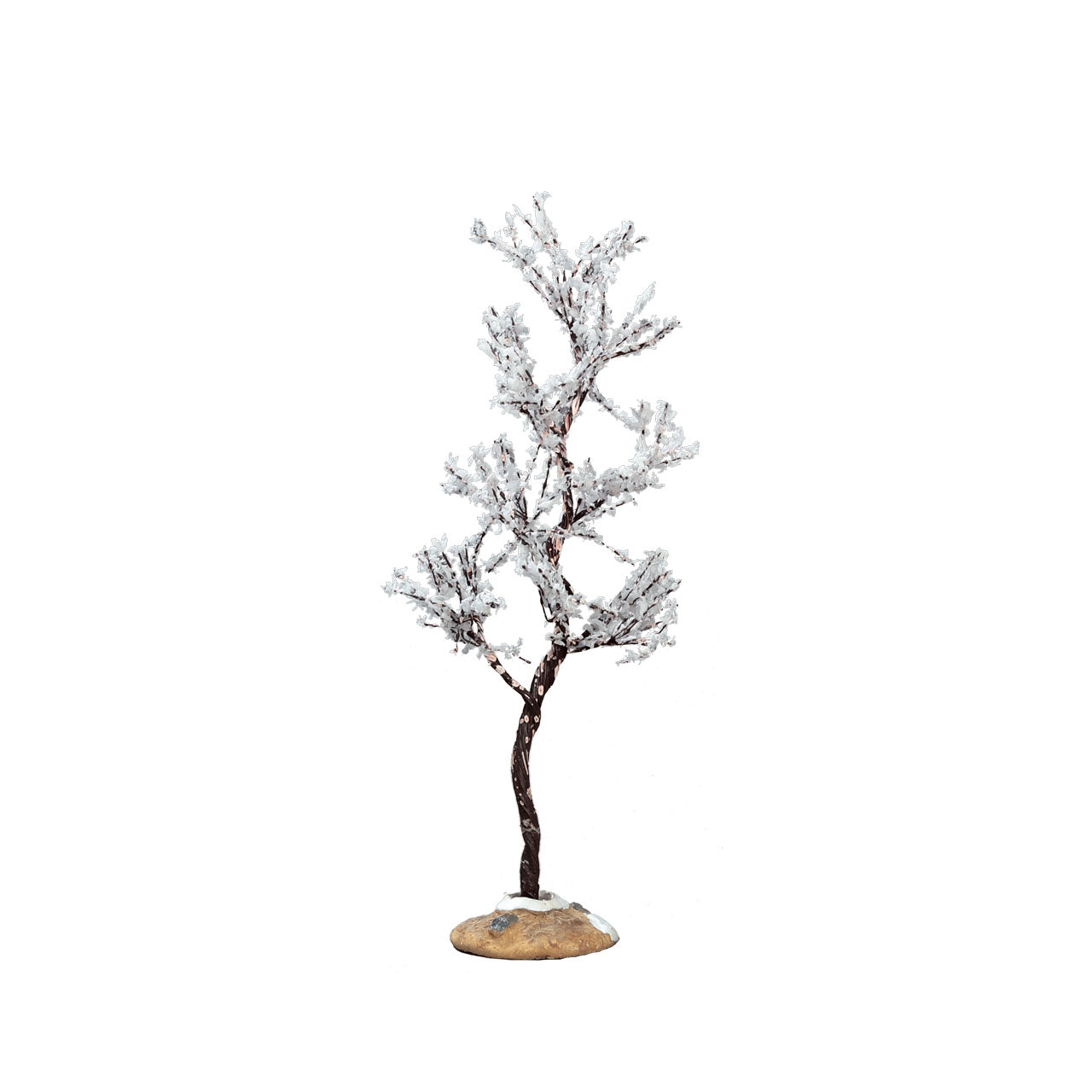 Morning Dew Tree - 6.5 Inch
