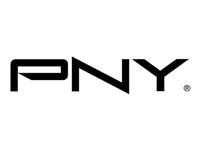 PNY Cable DP to VGA (includes 4) 930-50764-0000-000