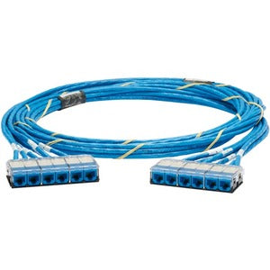 Panduit Category 6, UTP Riser Blue Cable with Blue Cassette to Blue Cassette QCRBCCB0001F055