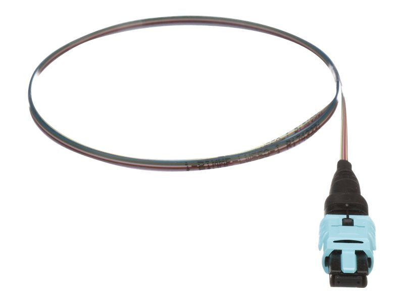 Panduit QuickNet PanMPO/MPO Ribbon Pigtail Assembly - Pigtail - PanMPO multi-mode (F) - 2 m - fiber optic - 50 / 125 micron - FZTCN7NNNONM002