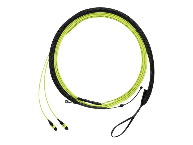 Panduit QuickNet - Trunk cable - PanMPO multi-mode (F) molded transition with 1m breakout, pulling eye to PanMPO multi-mode (F) FWUYL7575KAM094