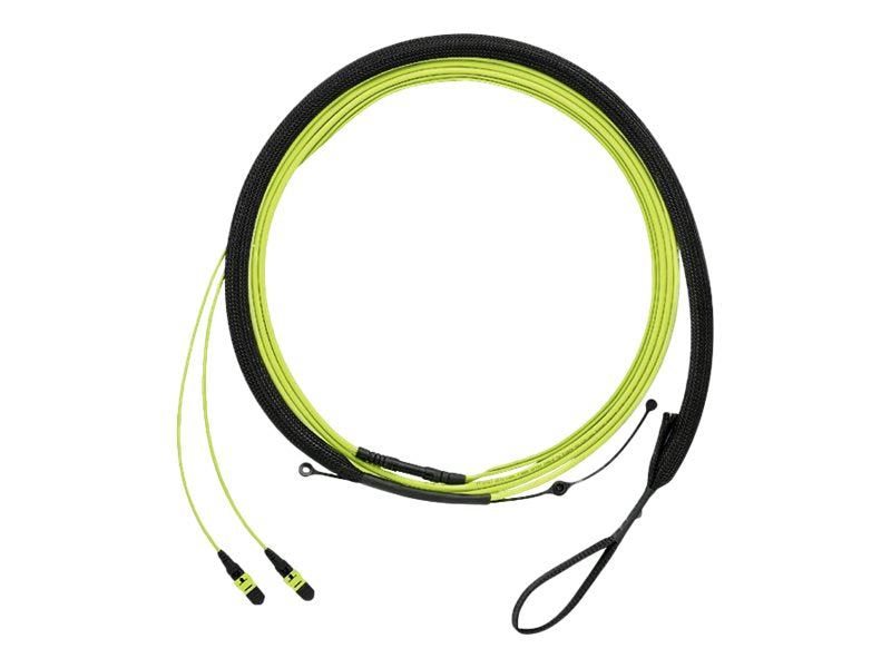 Panduit QuickNet - Trunk cable - PanMPO multi-mode (F) molded transition with 1m breakout to PanMPO multi-mode (F) molded transition FWUYL7575KNM044