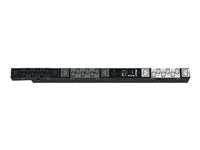 Panduit SmartZone Vertical Monitored Switched PDU - 12 C13 4 C19 Outlets | Panduit P16E24M-YL5A