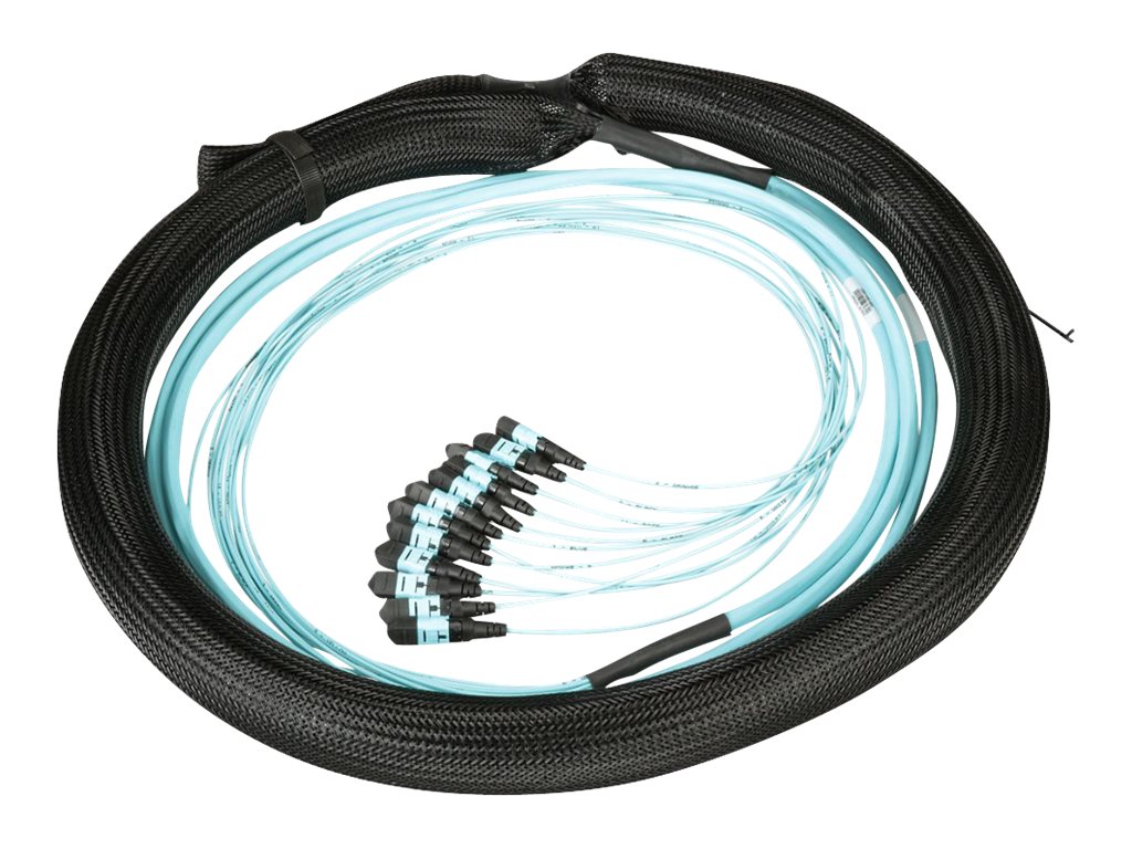 Panduit - Trunk cable - PanMPO multi-mode (F) to PanMPO multi-mode (F) - 30 m - 0.4 in - fiber optic - 50 / 125 micron - OM4 FYZAP77X005M030