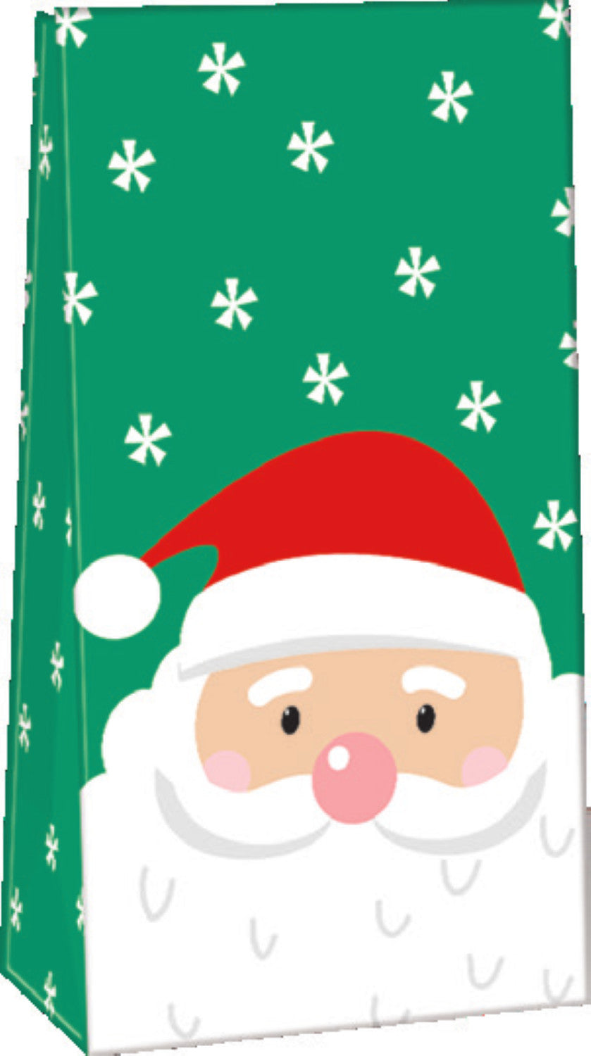Paper Small Treat Sacks - Set of 10 - Santa