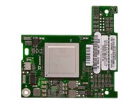 QLogic QME2572 - Host bus adapter - PCIe 2.0 x8 - 8Gb Fibre Channel x 2