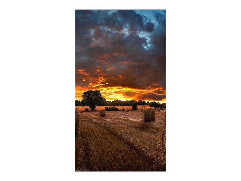 Samsung VM46B-U - 46 Diagonal Class VMB-U Series LED-backlit LCD display - digital signage - 1080p 1920 x 1080"