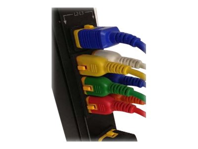 Schneider Electric Color Coded Locking Power Cords - Power cable - IEC 60320 C14 to power IEC 60320 C13 - 4 ft - green