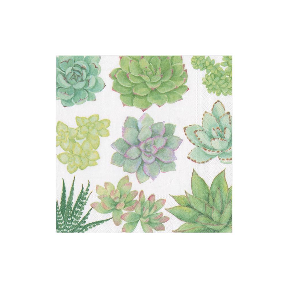 Succulents Paper Cocktail Napkins - Cocktail Napkin