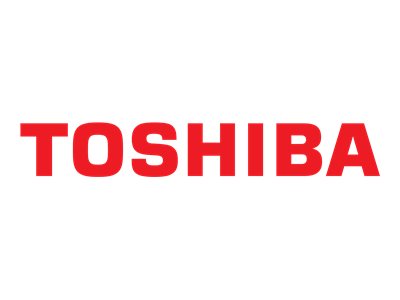 Toshiba XG6 - SSD - 256 GB - internal - M.2 - PCIe 3.0 x4