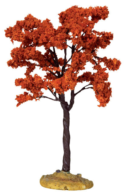 Yellowwood Tree - 6 Inch