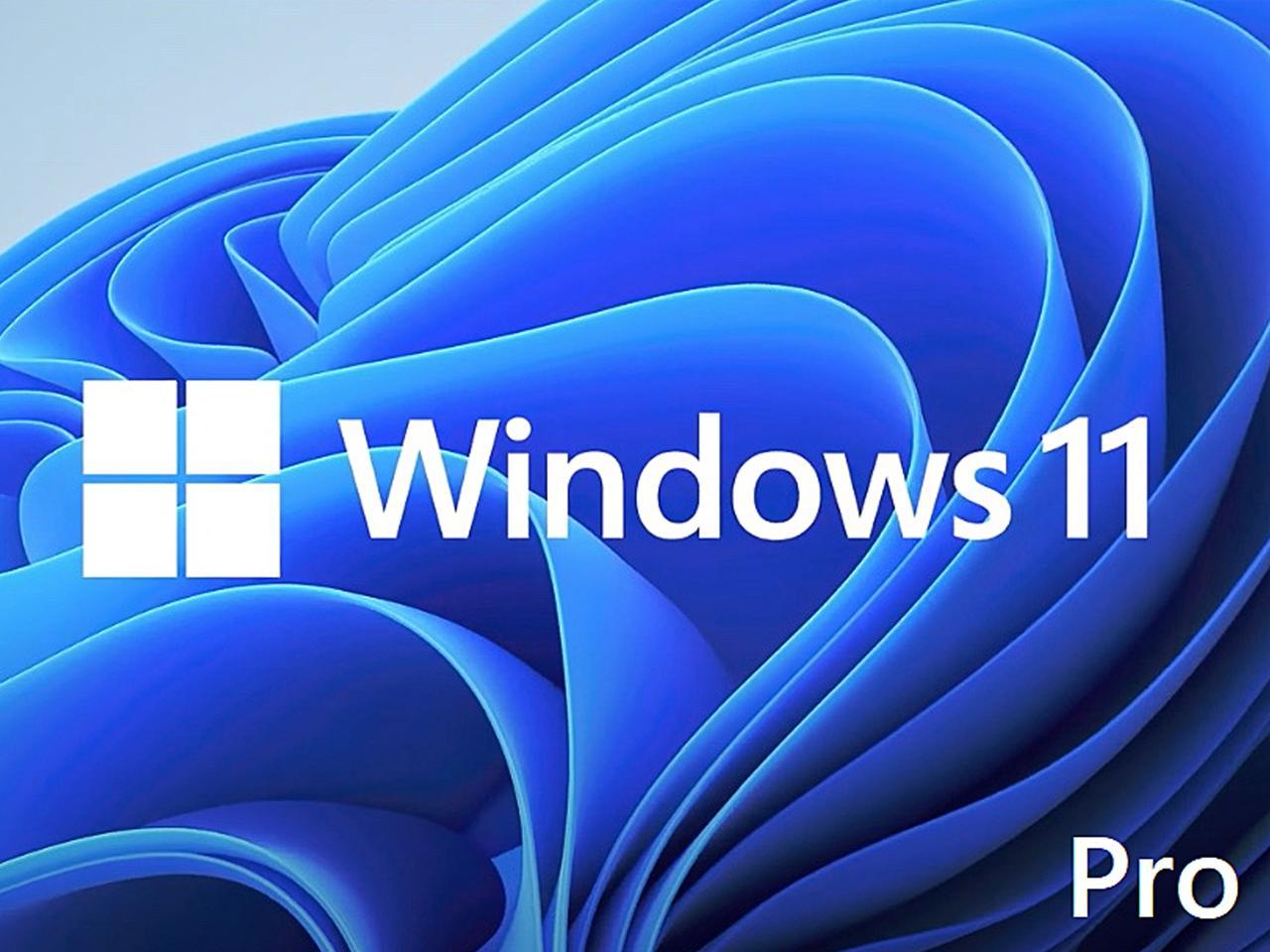 Microsoft Windows 11 Pro 64-Bit - Oem FQC10529