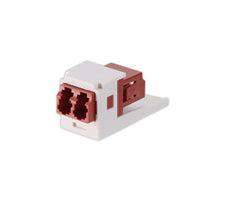 Panduit Cmdbrdlczaw Keystone Module