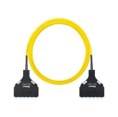 Panduit F9Tslxnxnsnm025 Fibre Optic Cable 25 M 12X Lc Os1/Os2 Yellow
