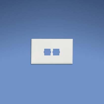 Panduit T70L2Wh Wall Plate/Switch Cover White