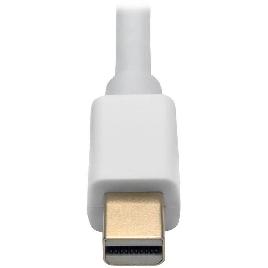 Tripp Lite P137-06N-Dvi-Dl Mini Displayport To Dvi Dual-Link Active Adapter Video Converter (M/F), 6-In. (15.24 Cm)