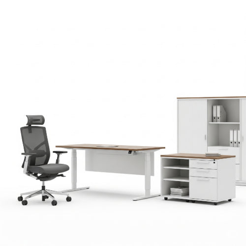 Bringing the Outside In: The Rise of Biophilic Design in Office Furniture