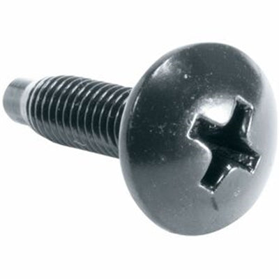 100PC,10-32 RUST RST SCW