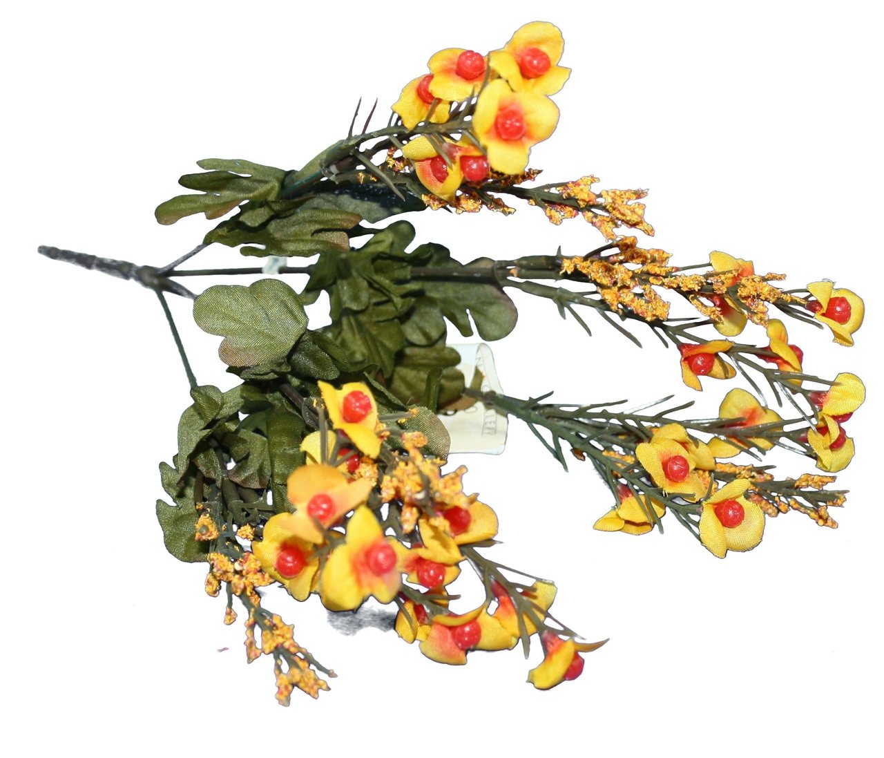 13.5 inch Bittersweet Bush