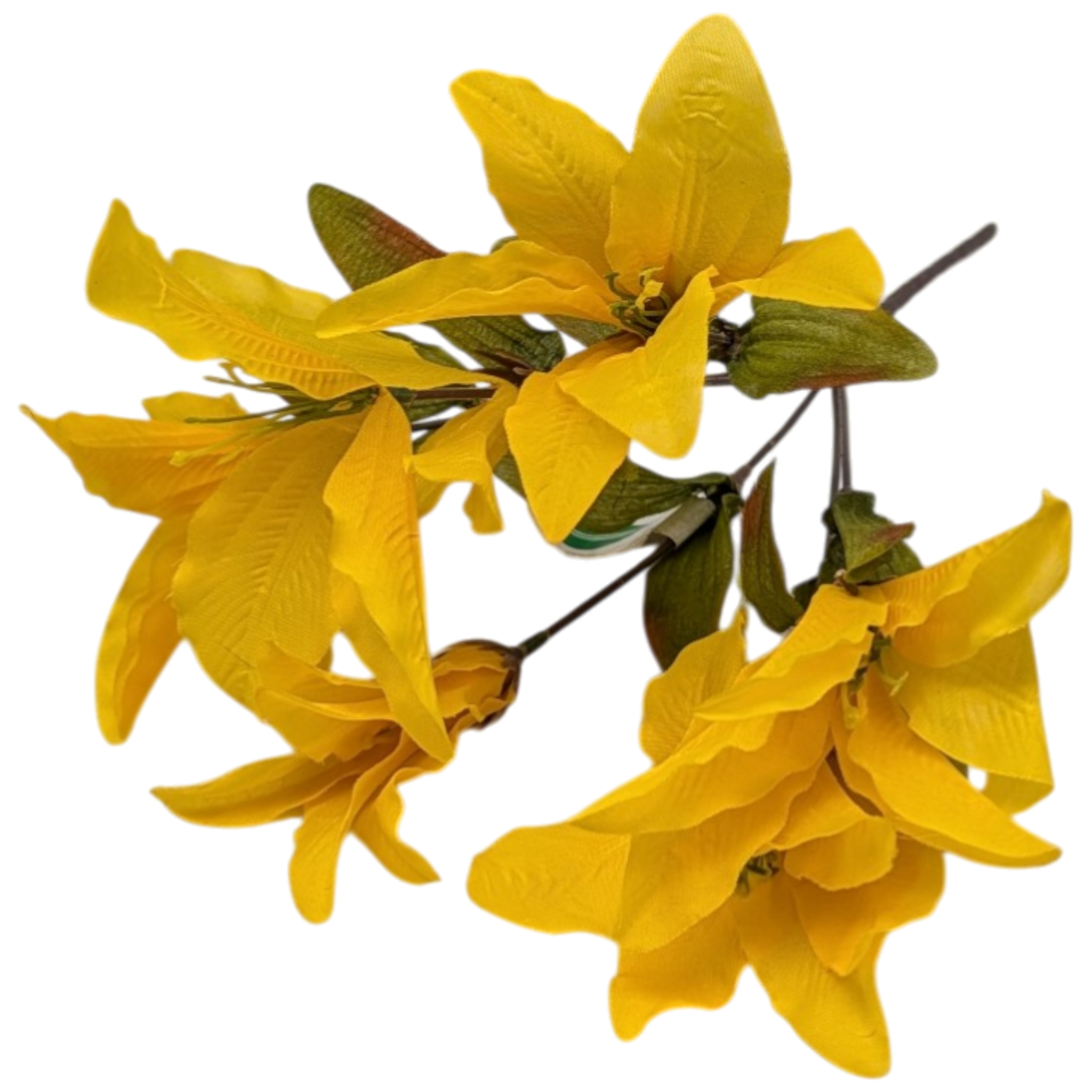 14-Inch Autumn Lily Bush
