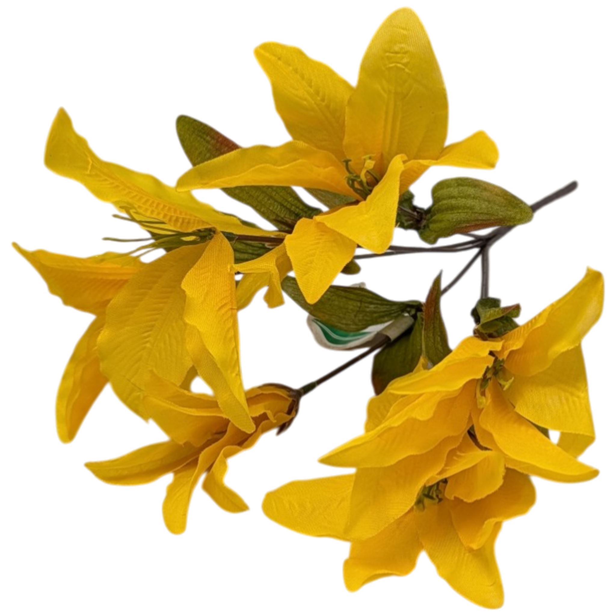 14-Inch Autumn Lily Bush