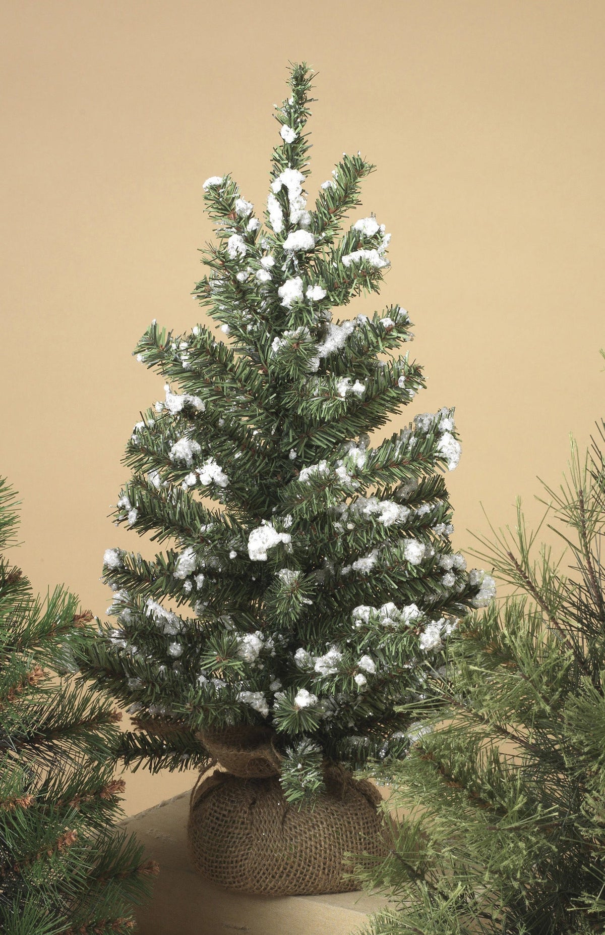 18 Inch Table top Tree in Burlap Base - Snowy Green