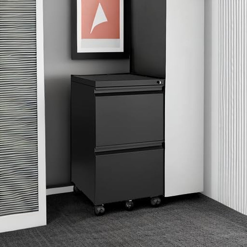 2 Drawer File Cabinet On Wheels For Home Office Under Desk With Lock Vertical Letter Legal A4 Files Fully Assembled