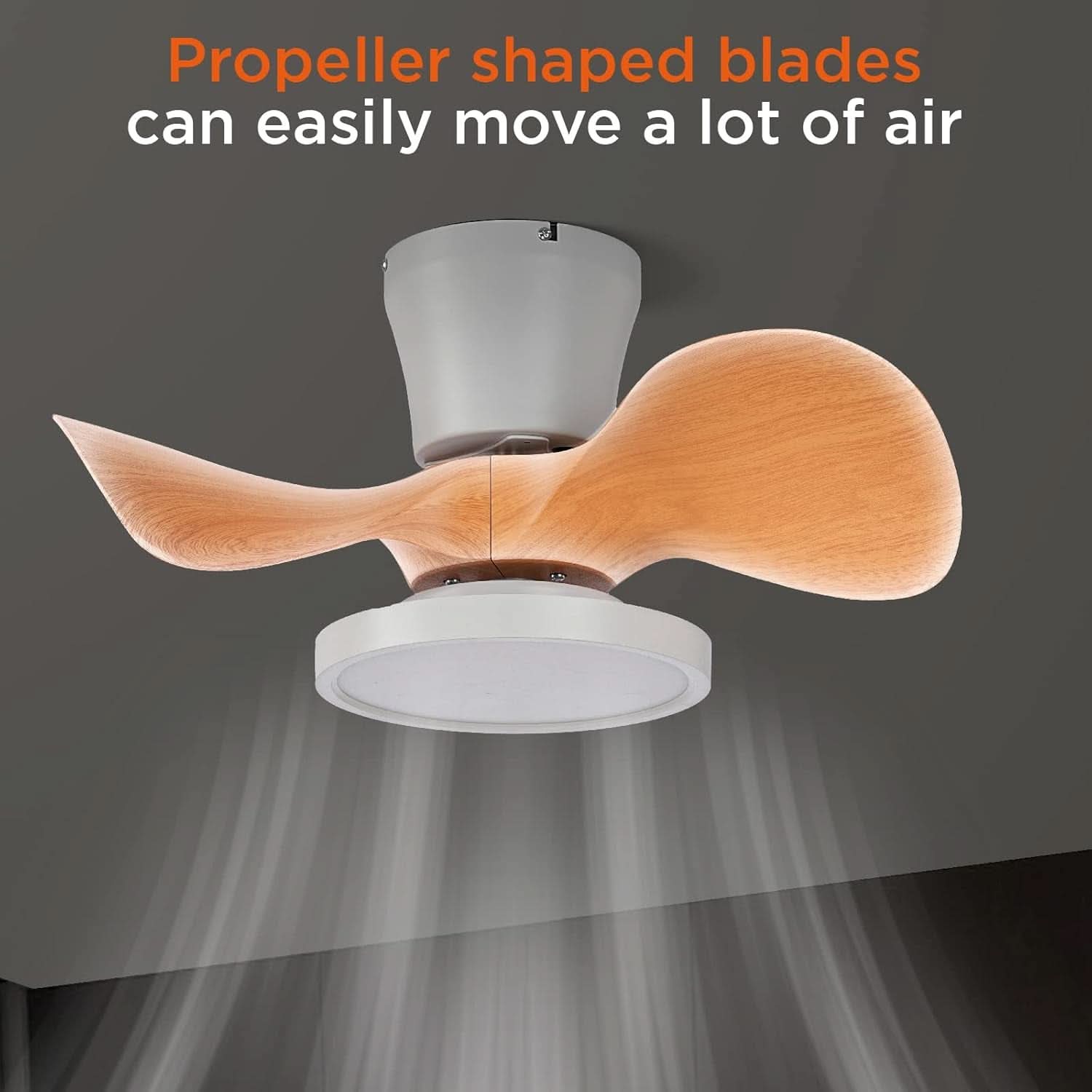 22 Inch Ceiling Fan With LED Light For Kitchen And Bedroom