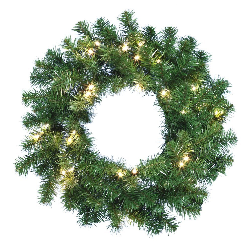 24 Inch Douglas Fir Wreath with 30 Clear Lights