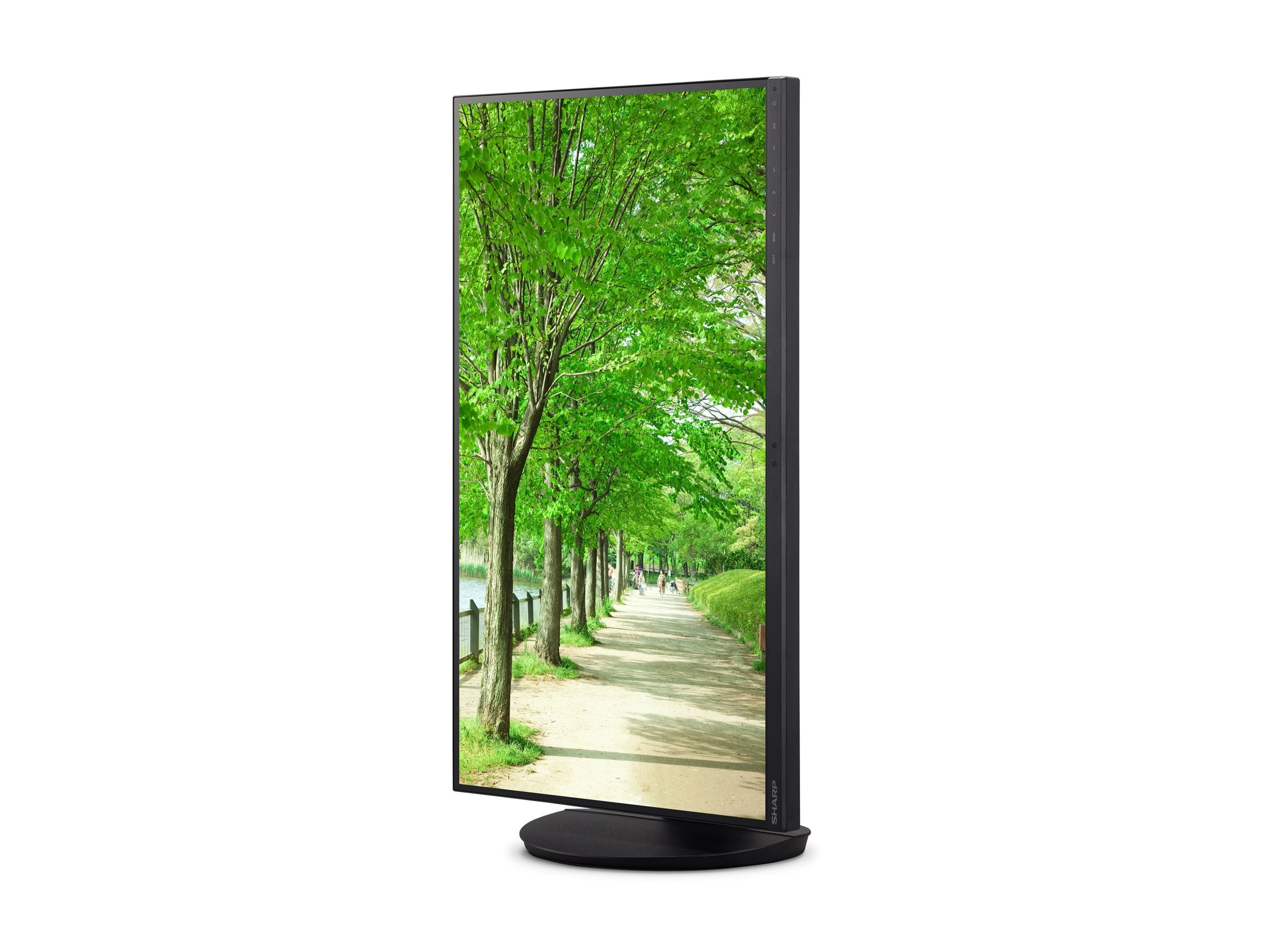 27 Inch 4K Monitor USB-C Charging - Business Desktop Display | Sharp DD-EA272Q