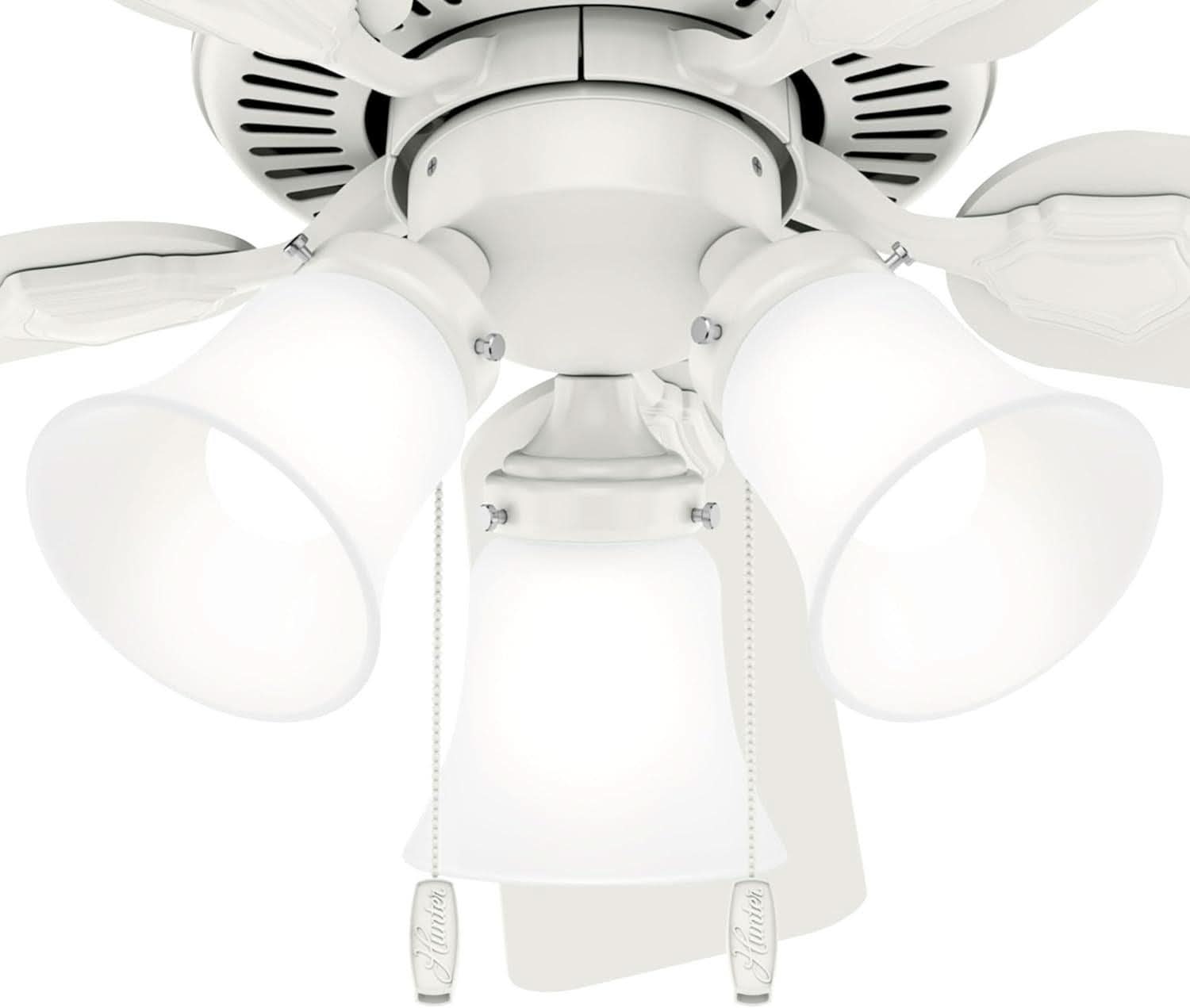 44 Inch Indoor Ceiling Fan With LED Lights Quiet Motor