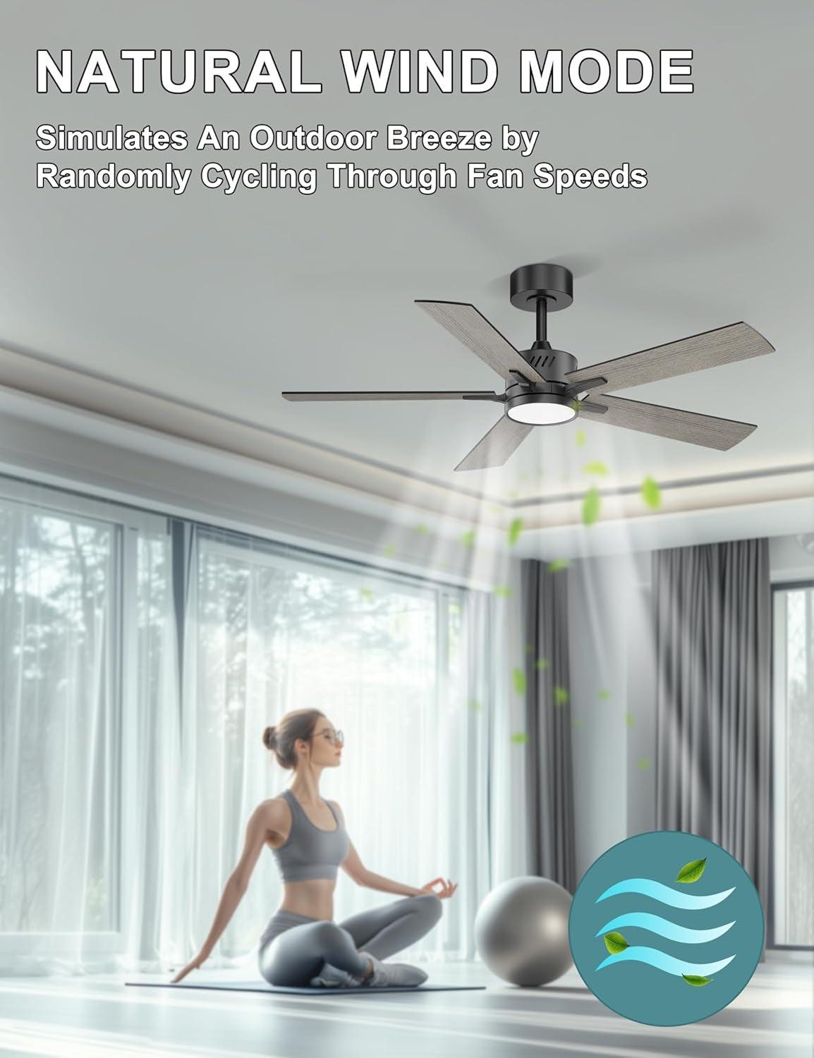 48 Inch Ceiling Fan With Dimmable LED Light Matte Black