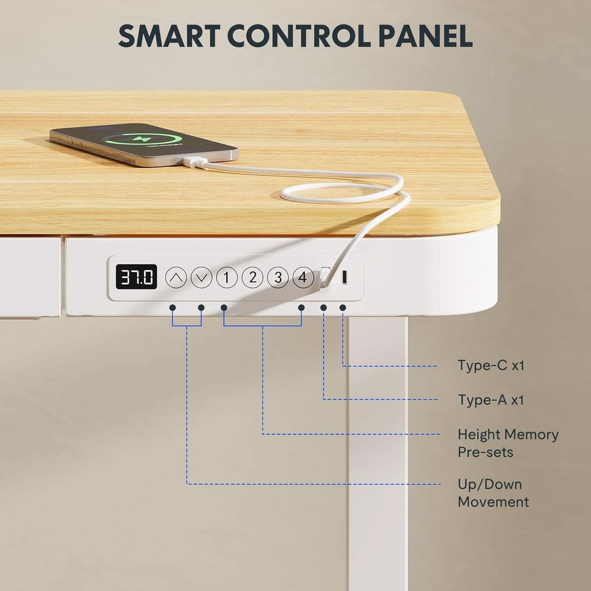 48 Inch Electric Standing Desk With USB Port And Drawers