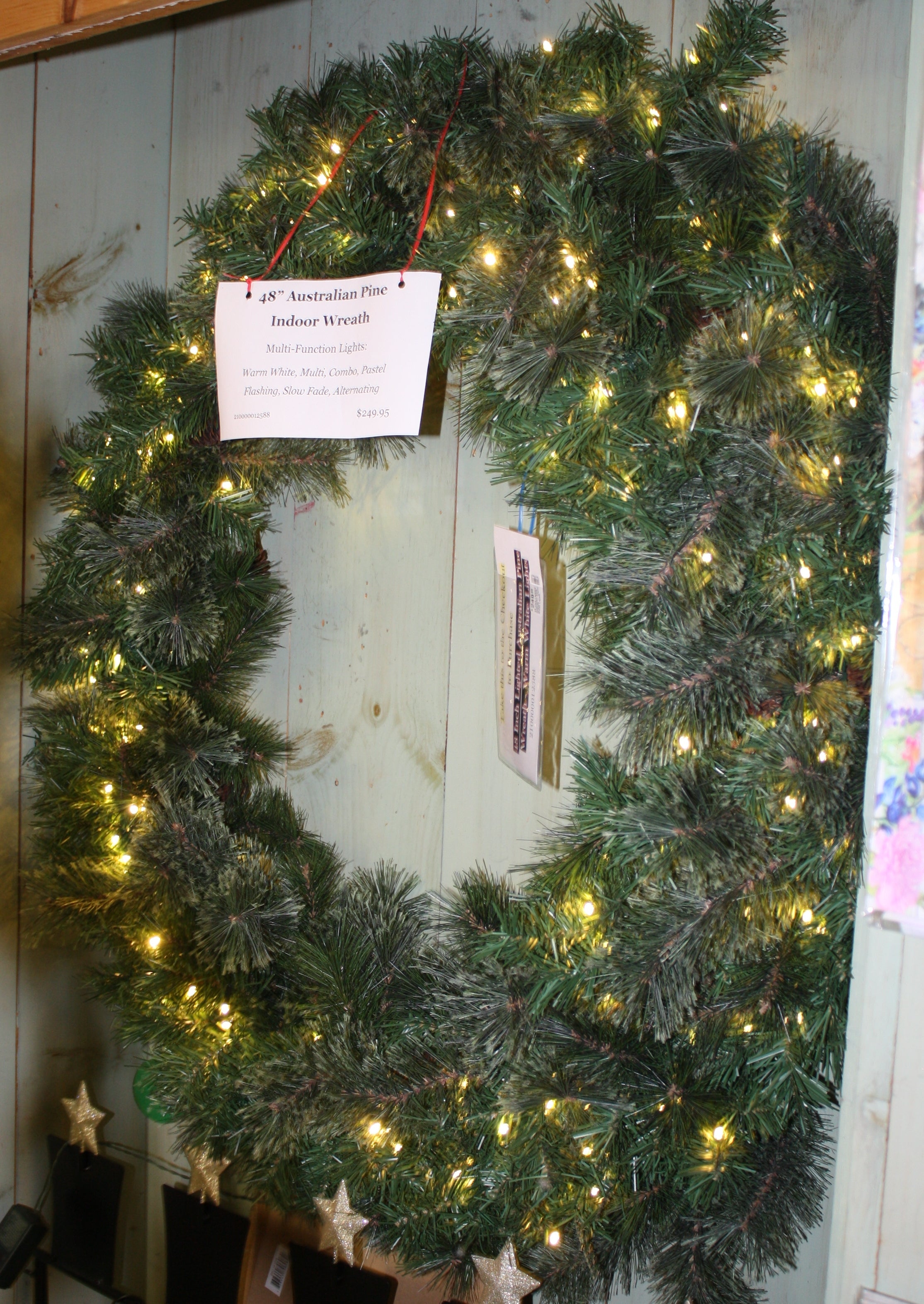 48 Inch Lighted Australian Pine Wreath - Warm White Lights